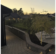 Trädgård med stenmur, gång och belysning på kvällen