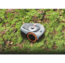 Robotgräsklippare på gräsmatta