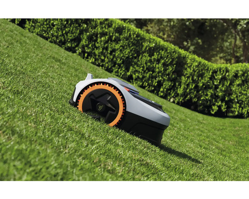 Robotgräsklippare på en gräsmatta