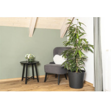 Vardagsrumshörna med fåtölj, sidobord och krukväxt