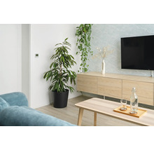 Vardagsrum med krukväxter, TV-möbel och soffbord