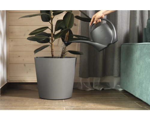 Vattning av en krukväxt med vattenkanna