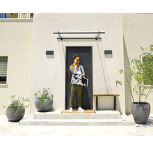 Modern husentré med mörk dörr, entrétak i glas, rektangulära utomhusvägglampor och stora grå blomkrukor på ljusa trappsteg.