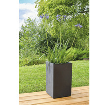 Blommor i en fyrkantig planteringslåda utomhus