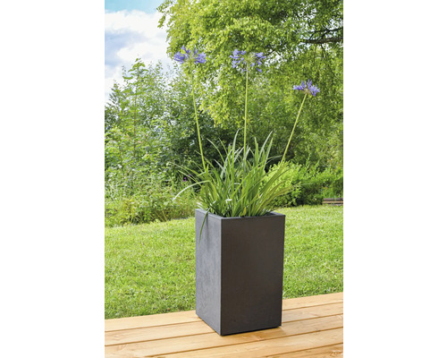 Blommor i en fyrkantig planteringslåda utomhus