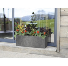 Rektangulär blomlåda med blommor framför en glasdörr