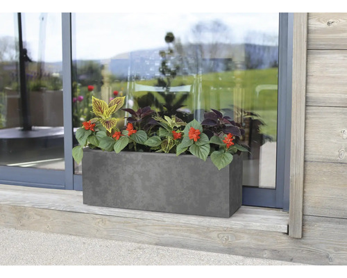 Rektangulär blomlåda med blommor framför en glasdörr