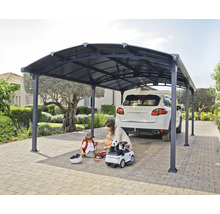 Familj under en bil carport med bil