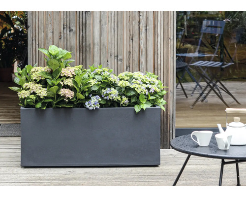 Blomlåda med hortensior på en terrass