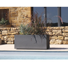 Rektangulär blomlåda med plantering utomhus.