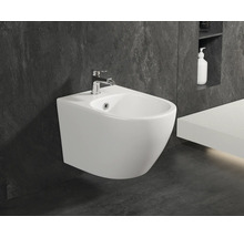 Vägghängd bidé av keramik med armatur i badrummet