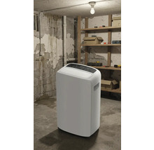 Vit luftavfuktare i ett källarrum med hyllor och verktyg.