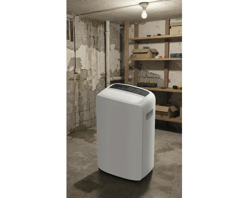 Vit luftavfuktare i ett källarrum med hyllor och verktyg.