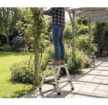 Man står på en pall i trädgården och beskär rosor