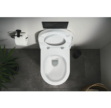 Vy från ovan av en toalett med öppet toalettlock, manöverpanel och toalettpappershållare