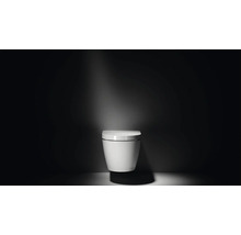 Vägghängd toalett med djup spolning och sluten design