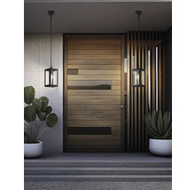 Entré med trädörr, växter i krukor och två hänglampor