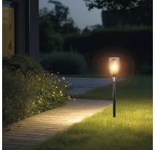 Trädgård med brinnande solfackla längs en stig