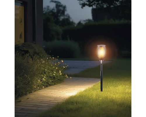 Trädgård med brinnande solfackla längs en stig