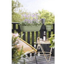 Balkongscen med blomlådor, bord och stol på en balkong