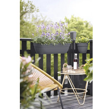 Balkongscen med planterad blomlåda och dekoration på ett litet bord.