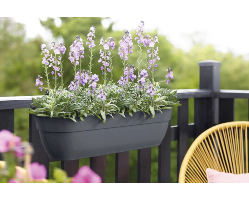 Balkonglåda med blommande blommor på räcket