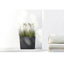 Modern rektangulär blomlåda med prydnadsgräs på en ljus terrass bredvid en trädgårdsmöbel.