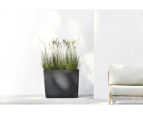 Modern rektangulär blomlåda med prydnadsgräs på en ljus terrass bredvid en trädgårdsmöbel.