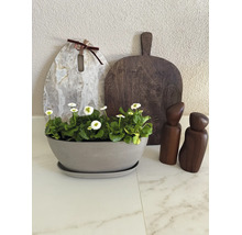 Ecopots planteringsskål med fat och blommor på en bänkskiva bredvid skärbrädor och kryddkvarnar.