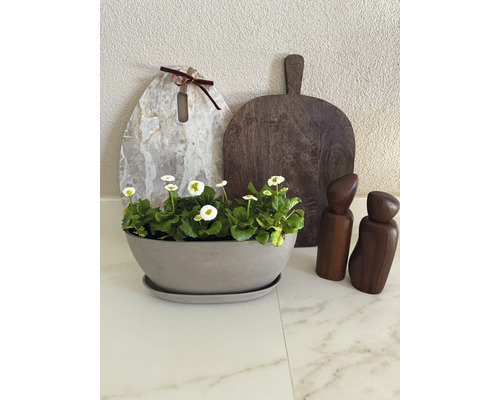 Ecopots planteringsskål med fat och blommor på en bänkskiva bredvid skärbrädor och kryddkvarnar.