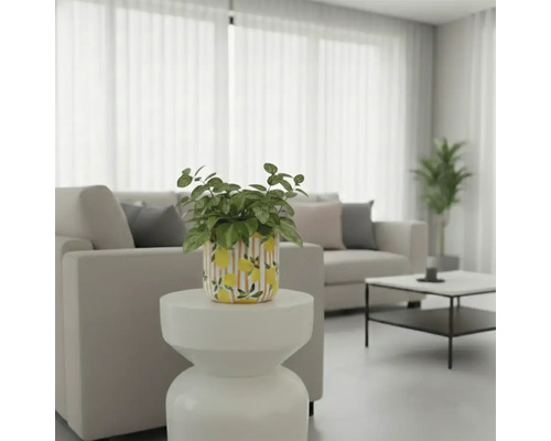 Ljus, vänlig vardagsrumsscen med växt i en kruka med citronmönster på ett sidobord.