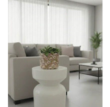 Vardagsrum med soffa, bord och krukväxt