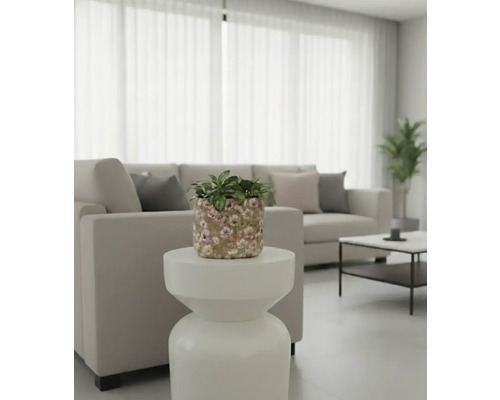 Vardagsrum med soffa, bord och krukväxt