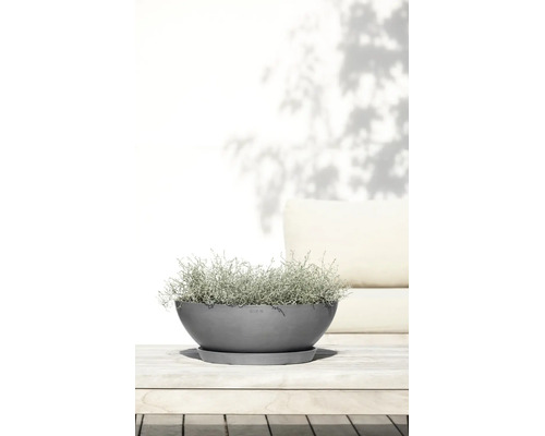 Grå planteringsskål från Ecopots med tillhörande fat på ett ljust träbord, planterad med en silvrig växt.