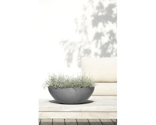 Grå, rund ECOPOTS planteringsskål med en silverfärgad växt på ett träbord i en ljus utomhusmiljö.