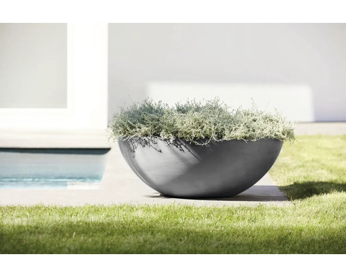 Modern halvklotformad planteringsskål med silverfärgade växter på en terrass intill en gräsmatta och en pool.