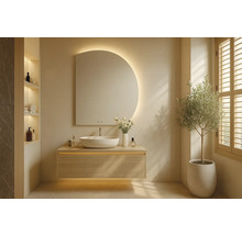 Modernt badrum med handfat, spegel och växt