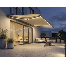 Belyst markis ovanför en uteplats med trädgårdsmöbler och en hund