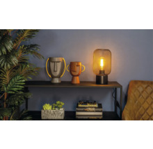 Dekorativ scen med bordslampa, vaser i huvuddesign och växt på en hylla.