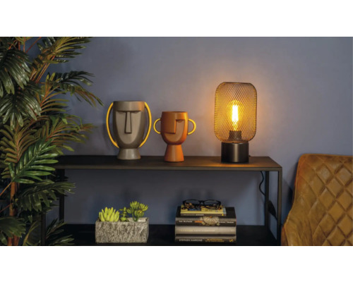 Dekorativ scen med bordslampa, vaser i huvuddesign och växt på en hylla.