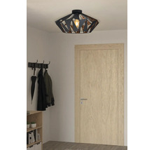 Taklampa i metall i hallen med klädhängare och trädörr