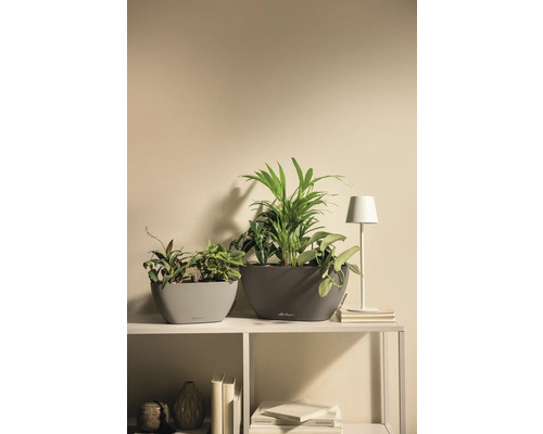 Två planterade blomkrukor på en hylla