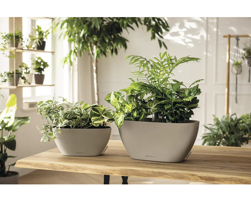 Två planterade plastblomkrukor står på ett träbord i ett ljust rum.