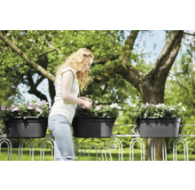 Kvinna som sköter om blommor i balkonglådor på ett balkongräcke