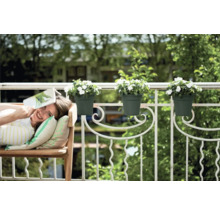 Kvinna kopplar av på balkongen med blomlådor på räcket