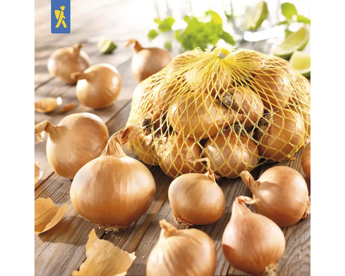 Lökar i ett nät på ett bord