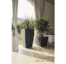 Två grå planteringskärl med växter på en matta under en baldakin.