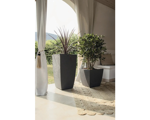 Två grå planteringskärl med växter på en matta under en baldakin.