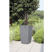 Betongplanteringskärl med växt i trädgården