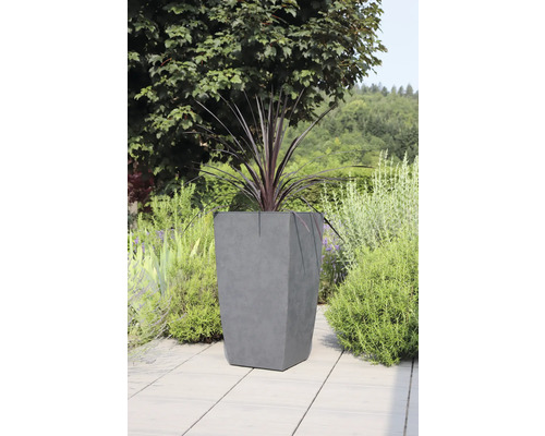 Betongplanteringskärl med växt i trädgården